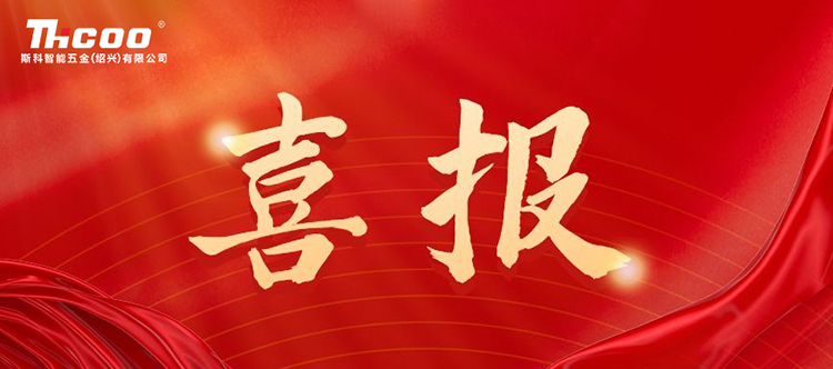 喜报 | 斯科荣获“2024年度企业30优”